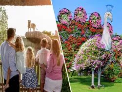 Combo (Save 13%): Dubai Safari Park with Safari Journey + Skip-the-Line Dubai Miracle Gardens Tickets